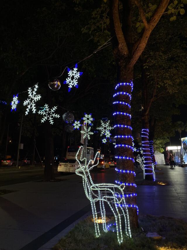 行道树装饰耶诞灯饰