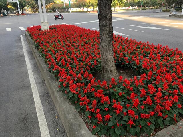 市政路-惠文路至文心路口