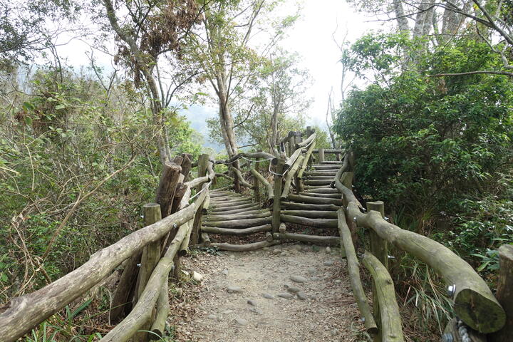 相思木欄杆整修-施工前