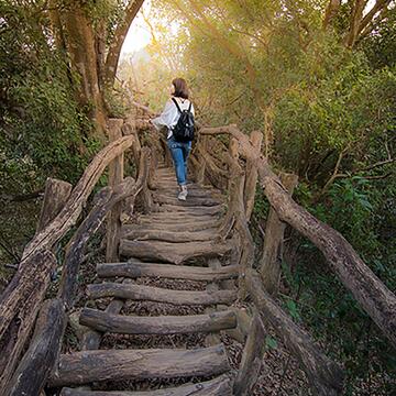 2號步道-其它地點2