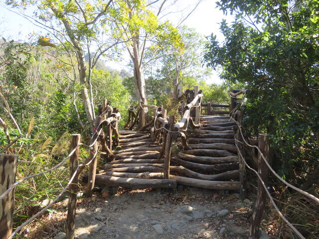 相思木欄杆整修-施工後