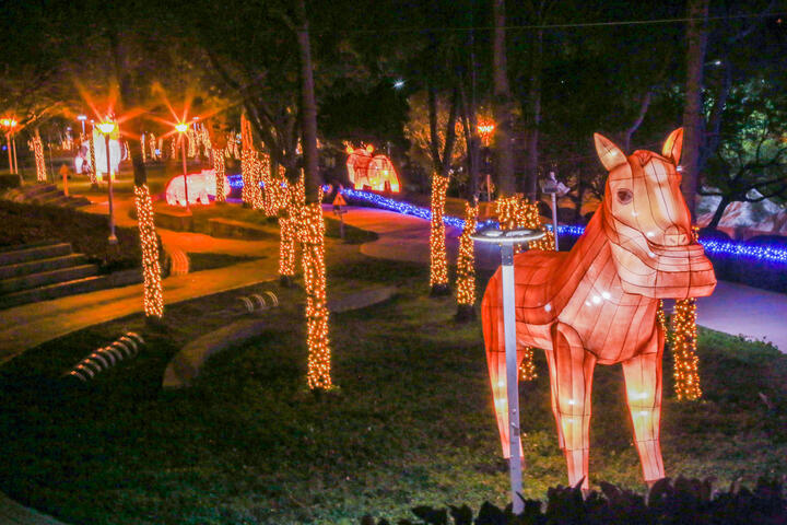 文心森林公園副展區4