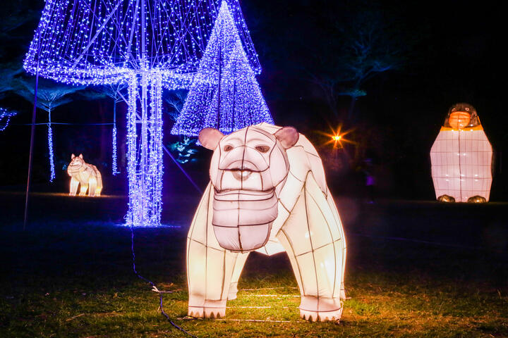 文心森林公園副展區1