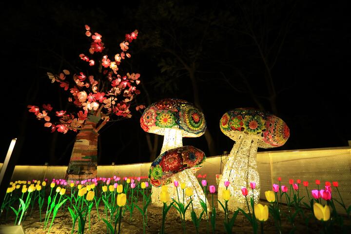 新社-绮丽花都-灯组图