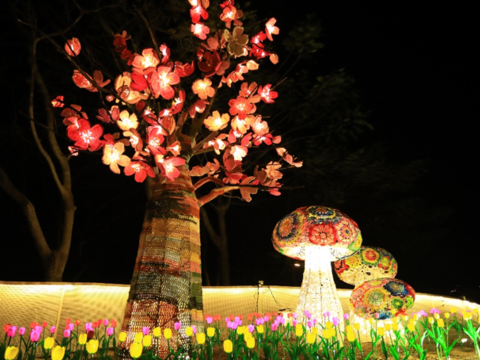 杨海茜老师展现钩织技艺