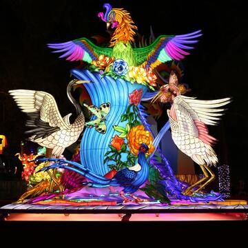 法務部矯正署台中監獄-鳳凰展翅平安到-牡丹盛開吉祥來