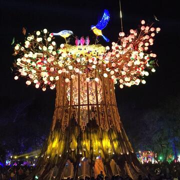 2020台湾灯会主灯秀