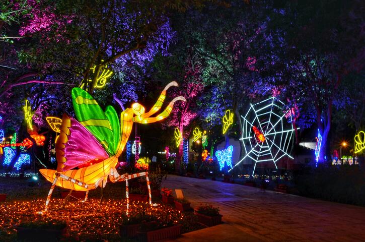 Children’s Favorite Animal Party Lantern! The Attractive “Carnival of the Animals”