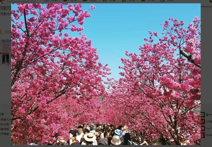 image1637116792436667319