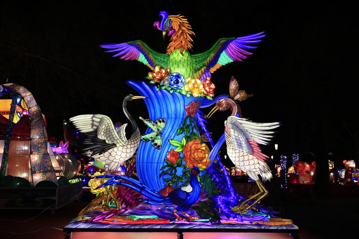 获得灯王的-凤凰展翅平安到-牡丹盛开吉祥来