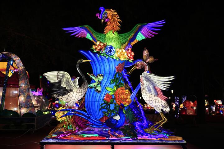 获得灯王的-凤凰展翅平安到-牡丹盛开吉祥来