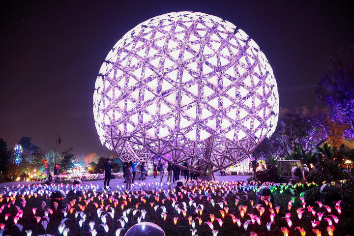 聆听花开-永昼心1