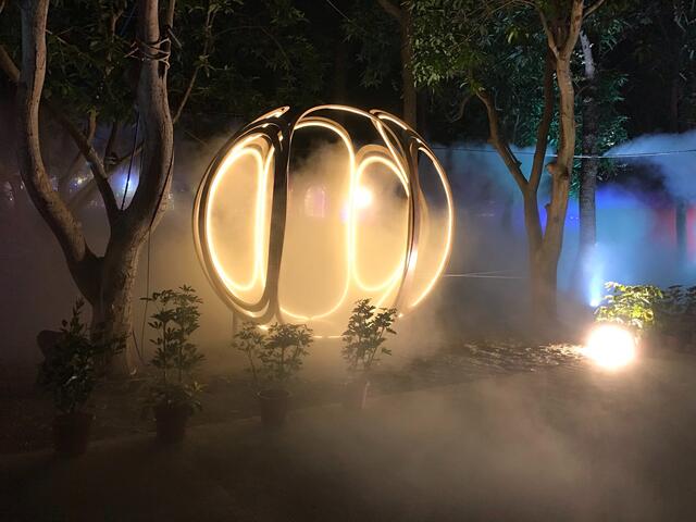 森光霧果放在群樹下-點亮燈區