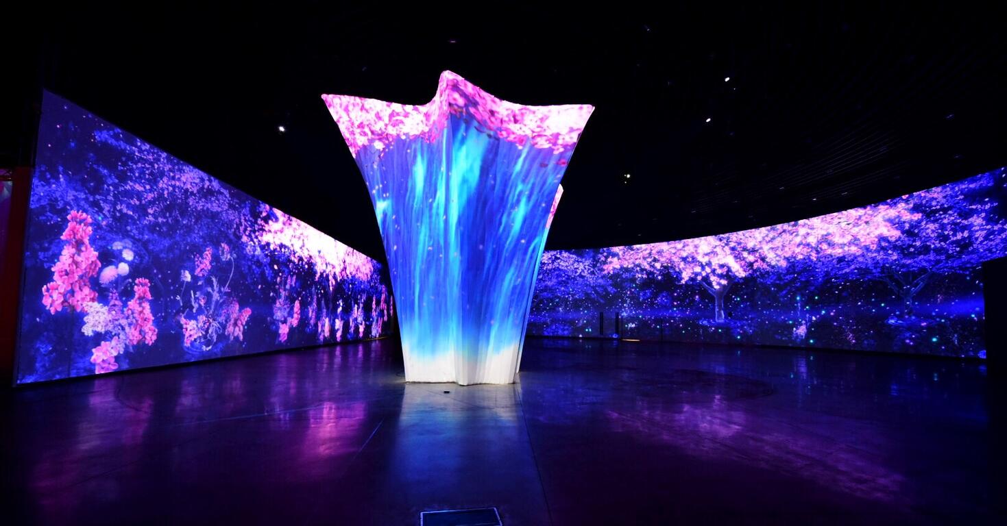 環台中四部曲-山櫻花之森