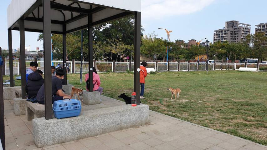 民眾帶著毛孩去公園遊玩