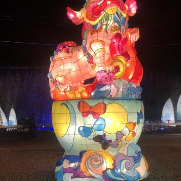 好市共荣灯区-云林县2-秘书处提供