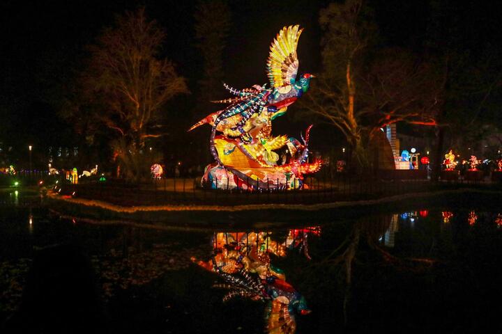 位於國際友誼燈區內的池畔-豎立-百鳥和鳴慶吉祥-花燈-民眾嘆好漂亮