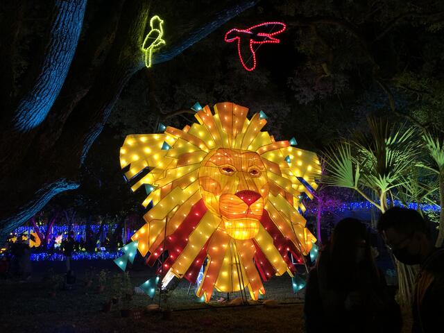 后里马场动物狂欢嘉年华灯区