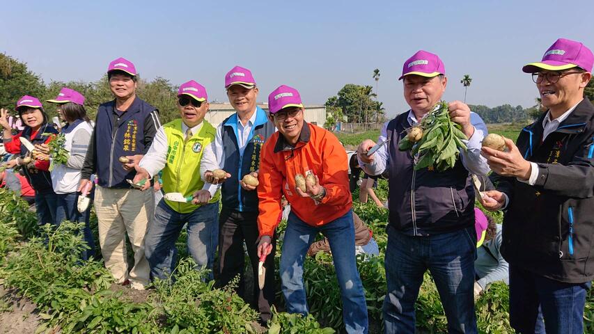 自己的马铃薯自己挖-潭子摇滚马铃薯活动超有趣