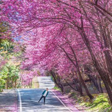 84552867_627919564696388_8989388710621929612_n