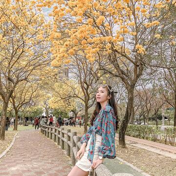 北屯區廍子公園吸引民眾前往拍照