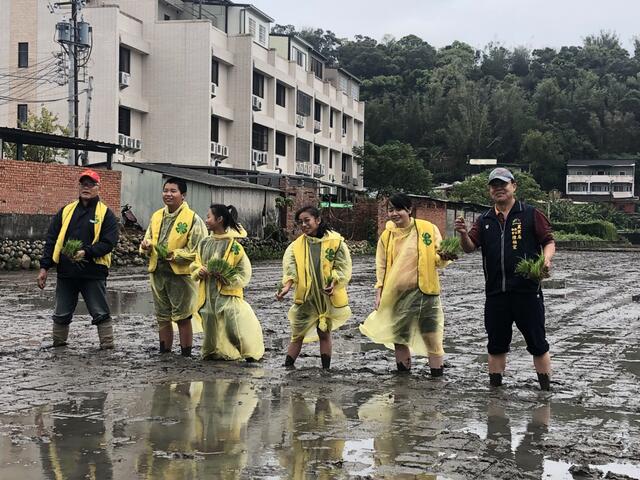 高美湿地美景现身外埔-中市府推彩绘稻田插秧体验.jpg