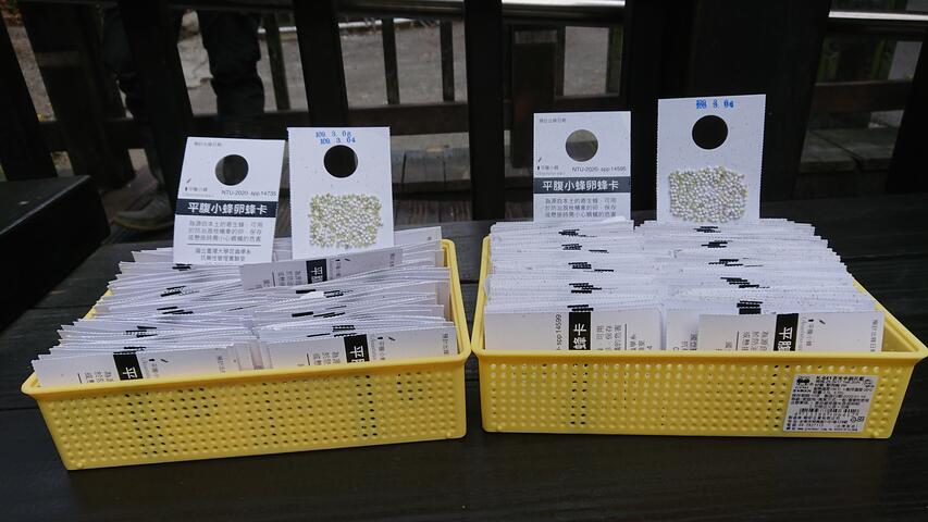 平腹小蜂卵蜂卡