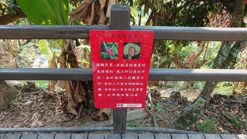 设置小心荔枝椿象告示牌