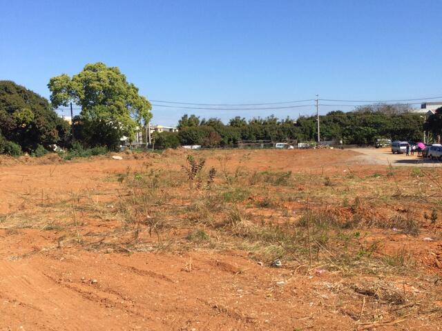 公墓搬遷後現況照