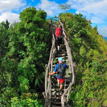 大坑步道夯 企業認養參與意願高