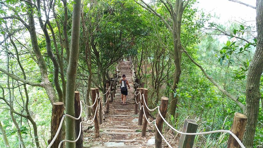 大坑4号步道-相思木栏杆整修