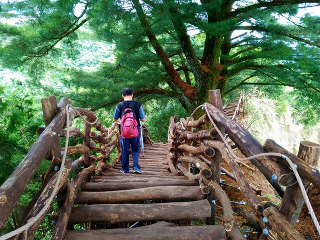 大坑5号步道-相思木栈道基础掏空整修