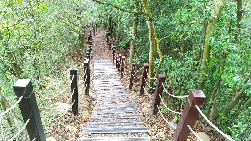 大坑5号步道-原木阶梯及栏杆