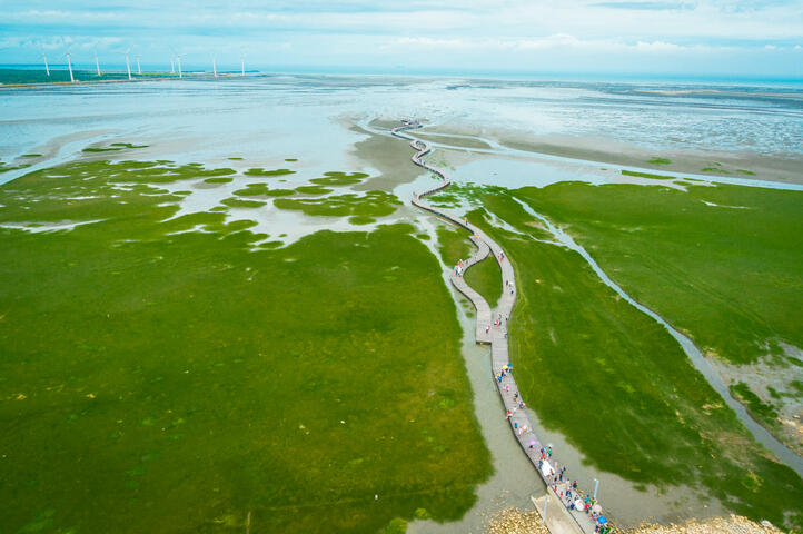 高美湿地免费生态体验将开放报名