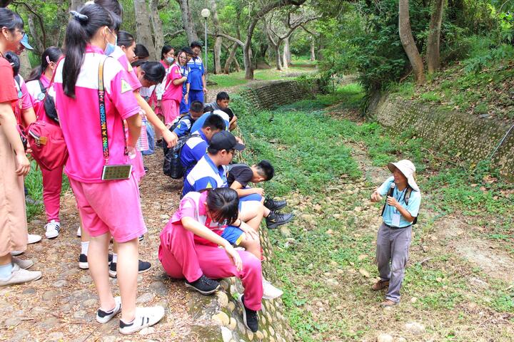 沿校內-東大溪螢火蟲溪徑-解說