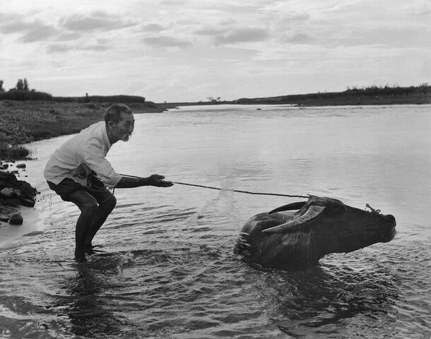 陳耿彬百歲攝影展-農田民情