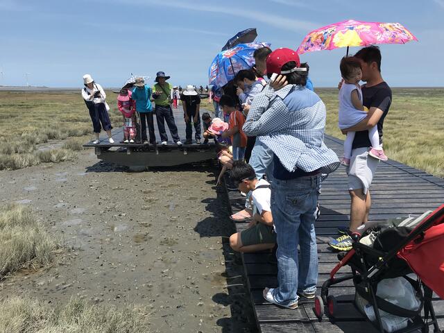 高美湿地体验活动夯-中市府加开场次