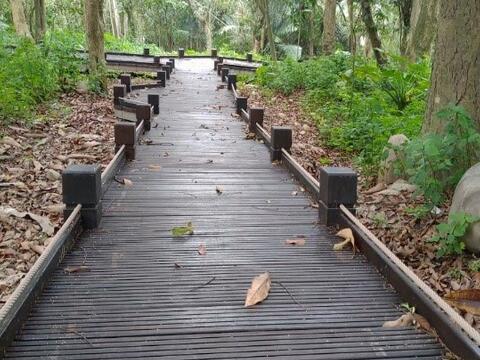 全齡步道-施工後