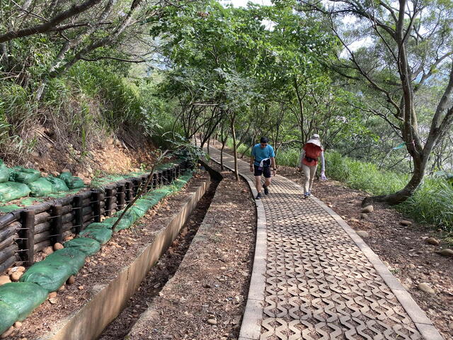 大肚區萬里長城登山步道-木樁駁坎設置工程