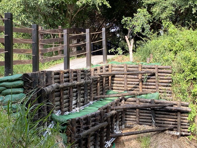 大肚區萬里長城登山步道-木樁駁坎及邊坡掛網噴植設置工程