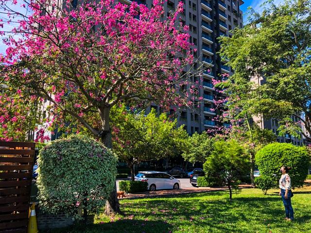 建設局長陳大田鼓勵民眾周末閒暇之餘-到戶外賞花踏青-放鬆身心