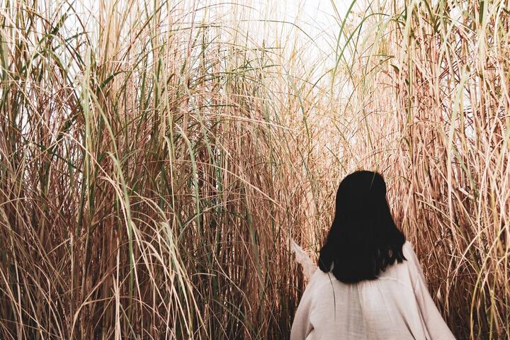 季節限定快來打卡-台中中央公園五節芒超吸睛