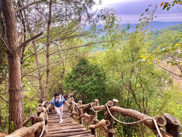 大坑3號步道風景秀麗