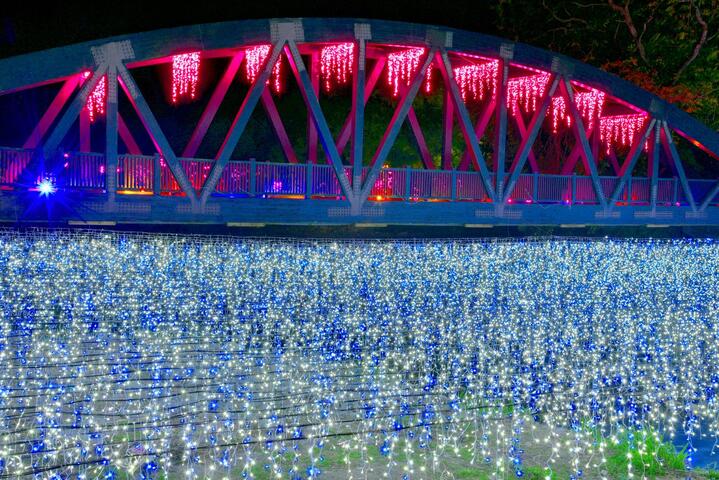 璀璨浪漫超吸睛