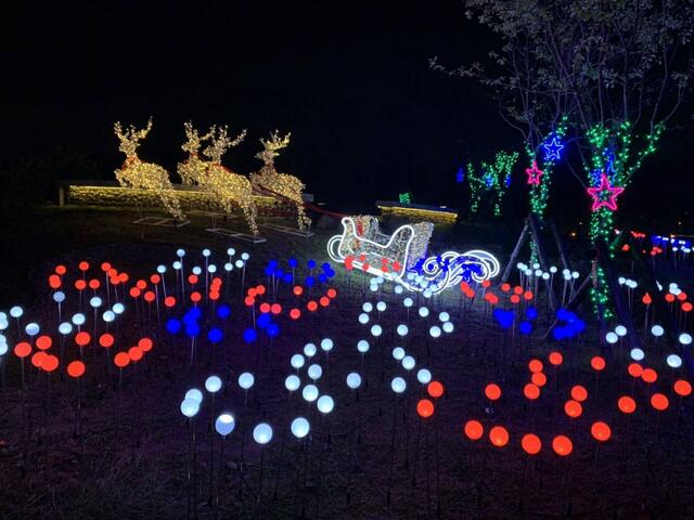 東區湧泉公園-帝國糖廠星泉湖-有栩栩如生的麋鹿拉著雪橇在公園出沒