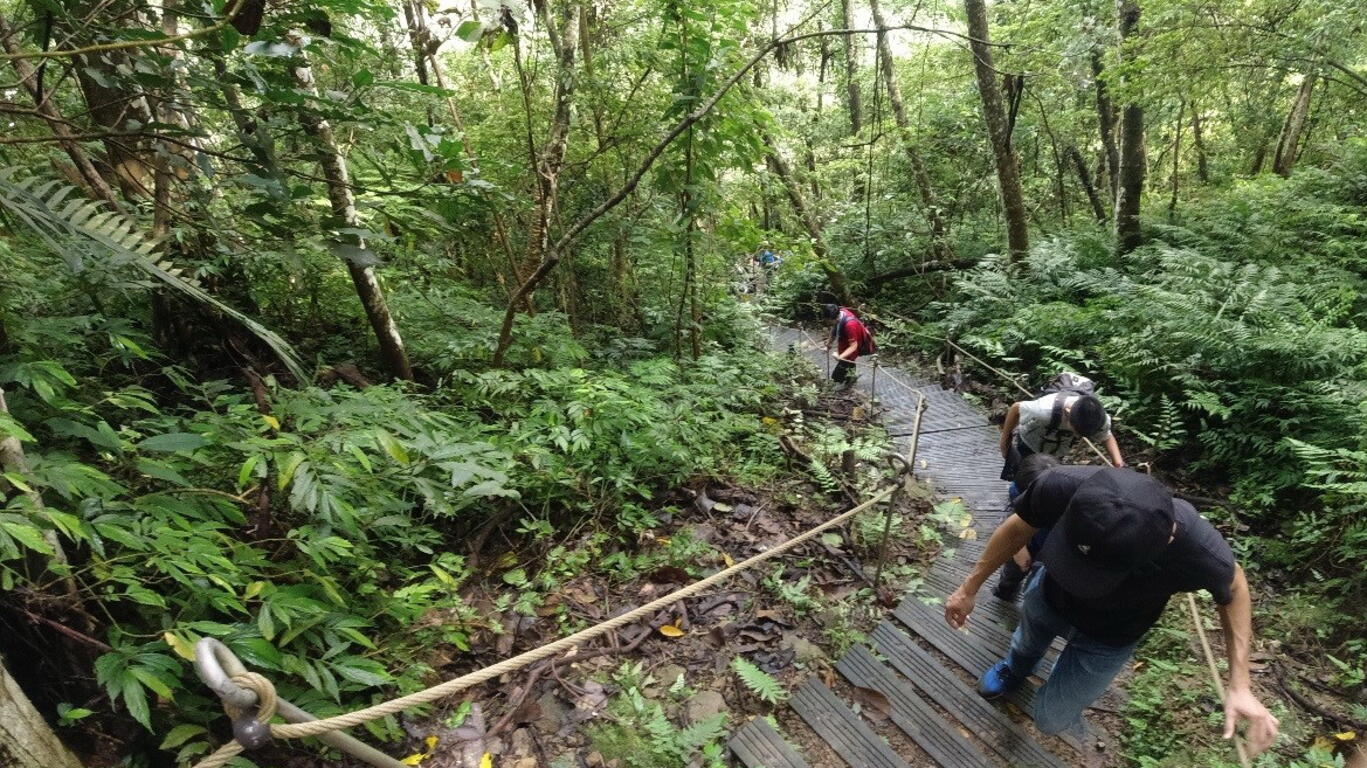 秋冬行山首选-双崎部落埋伏坪疗癒系秘境