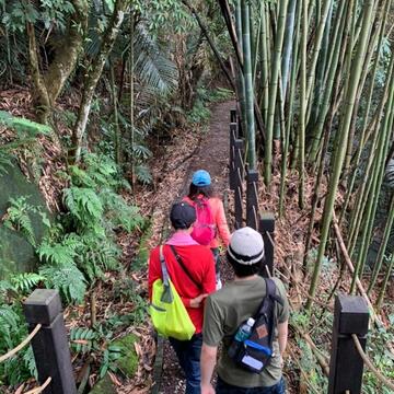 埋伏坪登山步道
