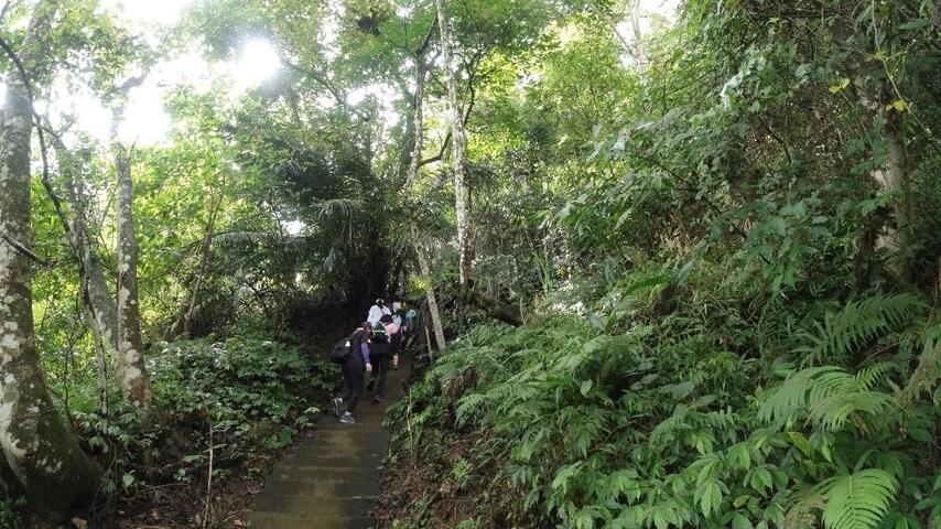 埋伏坪登山步道
