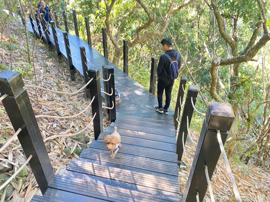 大坑十號調整後較為平緩舒適