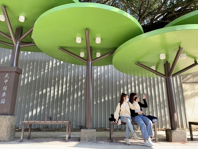 大甲站树屋候车亭